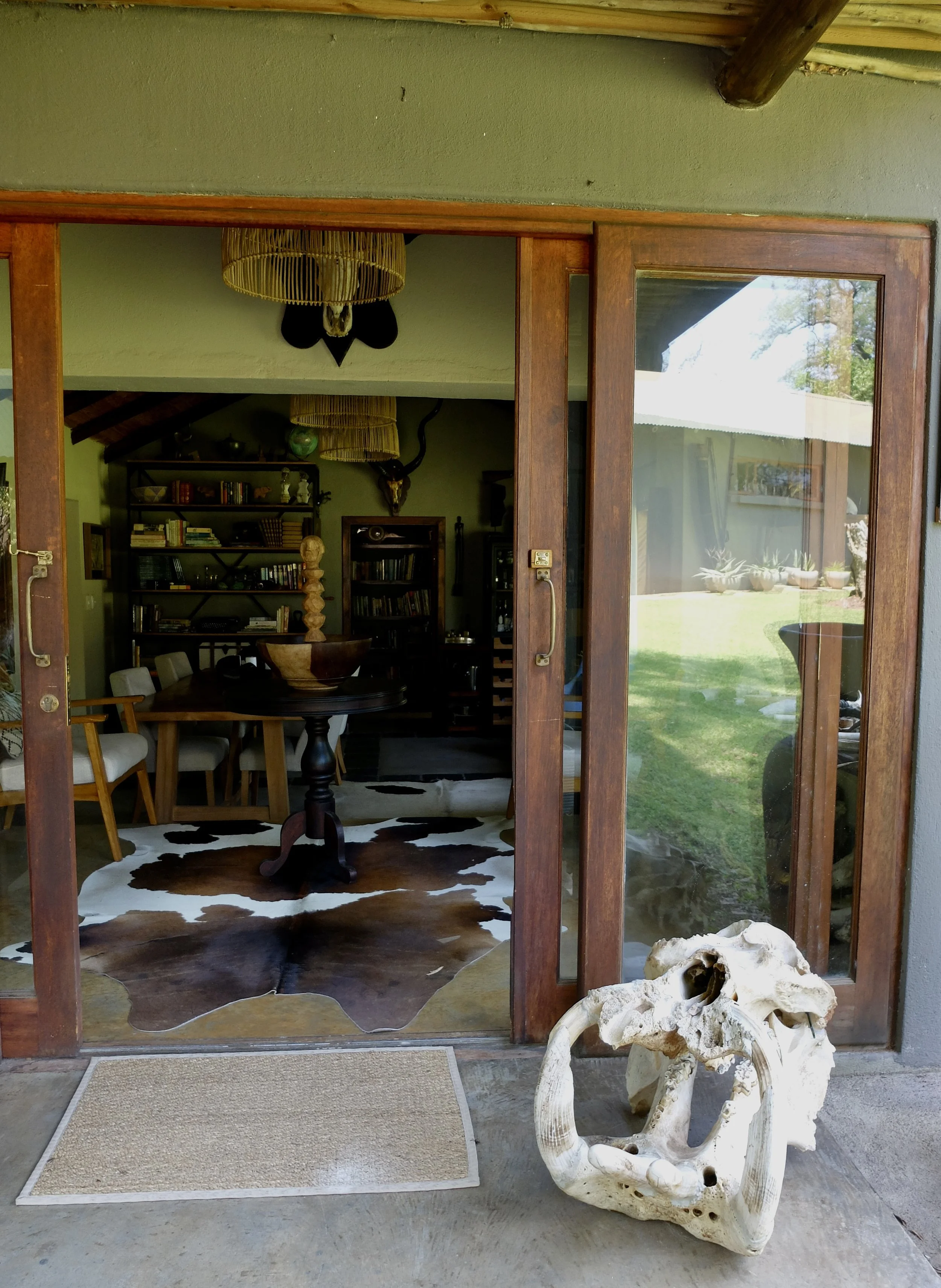  Hippo skull outside the Oom Paul Kruger Library.  
