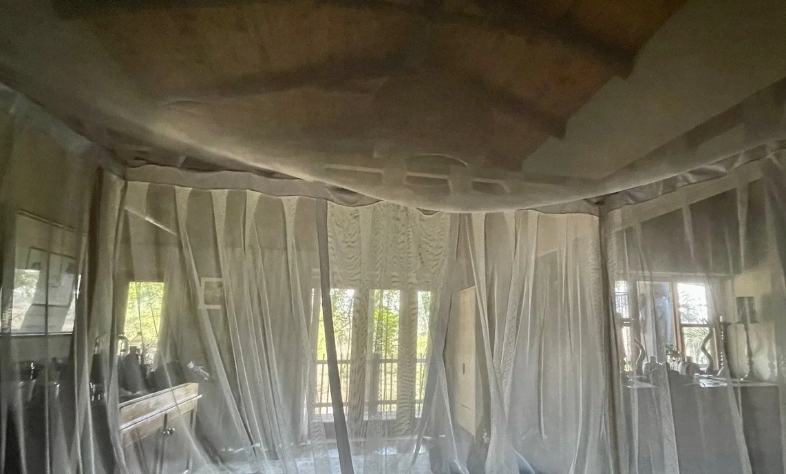  5:00 AM wake up from a knock on the door.  Notten's Bush Camp, Sabi Sand Nature Reserve. 