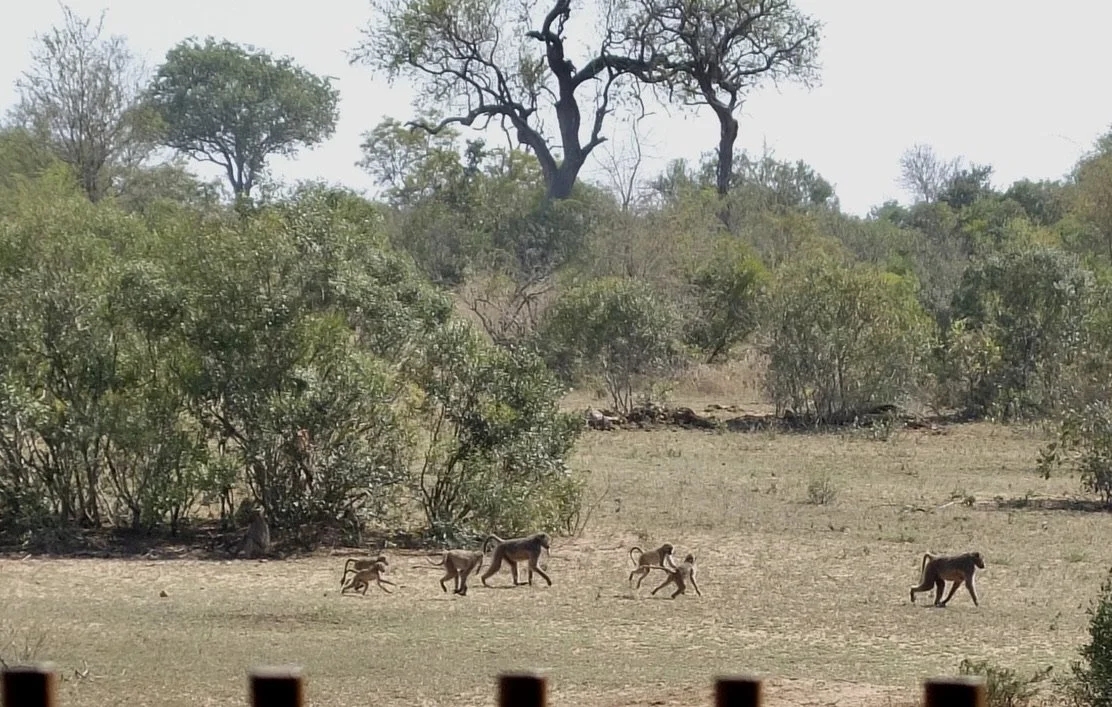  Of course two kids playing. 