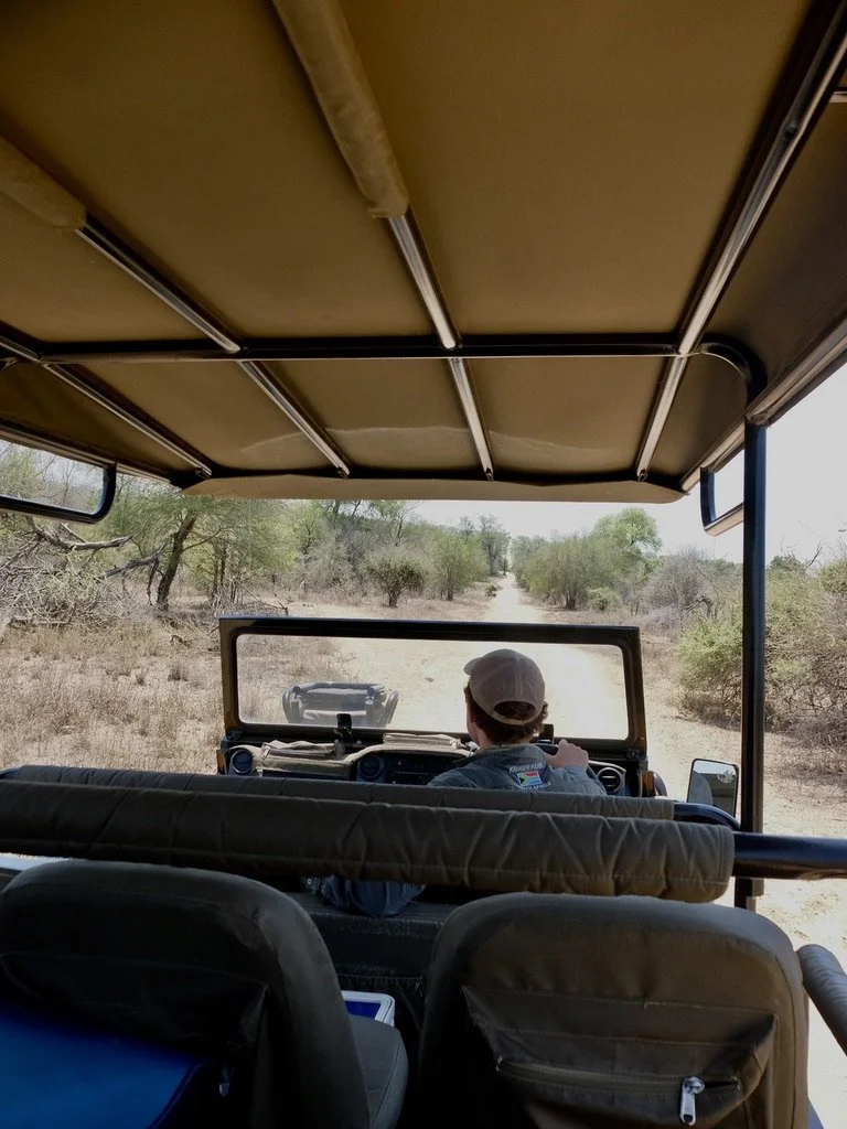  45 minutes to Skukuza Airport Kruger Nat'l Park with our 22 y.o. learning to be a guide, driver.  He was sharp as he had found the wild dogs a few days ago by following the spoor.  Today he spotted… 