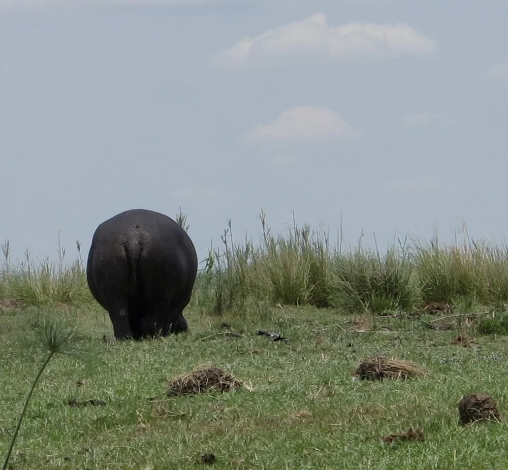  Off to the Cape of Africa. 