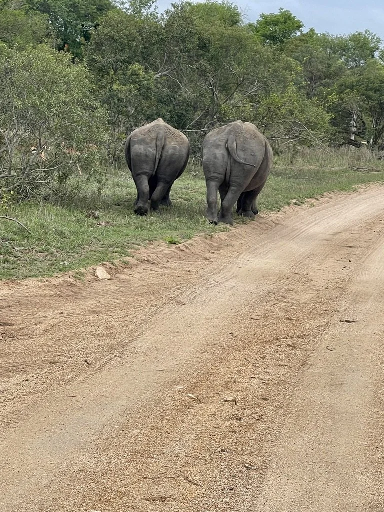  Pals out for a stroll.    Photo by Naomi. 