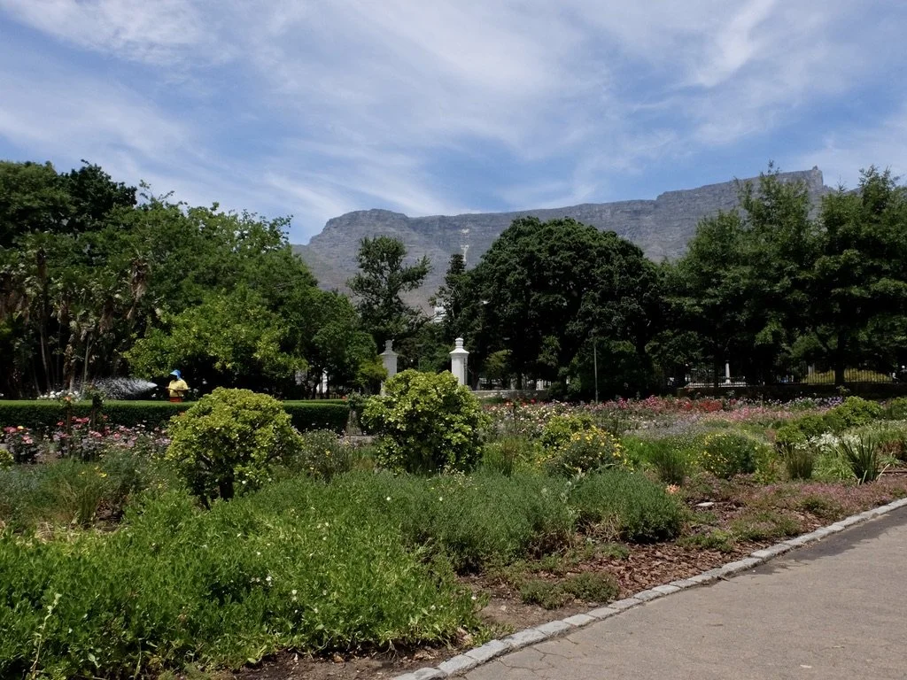  The Company Gardens ; a&nbsp;National Monument since 1962.  The Provincial Heritage Site is 3.2 ha.  “The birth of the Company's Garden can be traced back to 1644&nbsp;when the Dutch ship the "Haarlem" was driven ashore at Bloubergstrand.&nbsp;The c