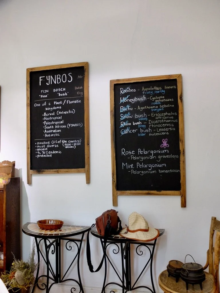  The Company's Garden Restaurant Garden Tea Room.  Cape Town Eats Tour with Karin Schmidt. 