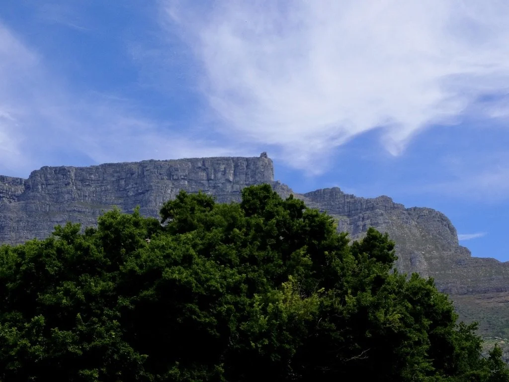  Table Mountain.   It looks clear but it was so windy that the cables were swinging so much that that cancelled the cable cars.  Cape Town Eats Tour with Karen Schmidt. 