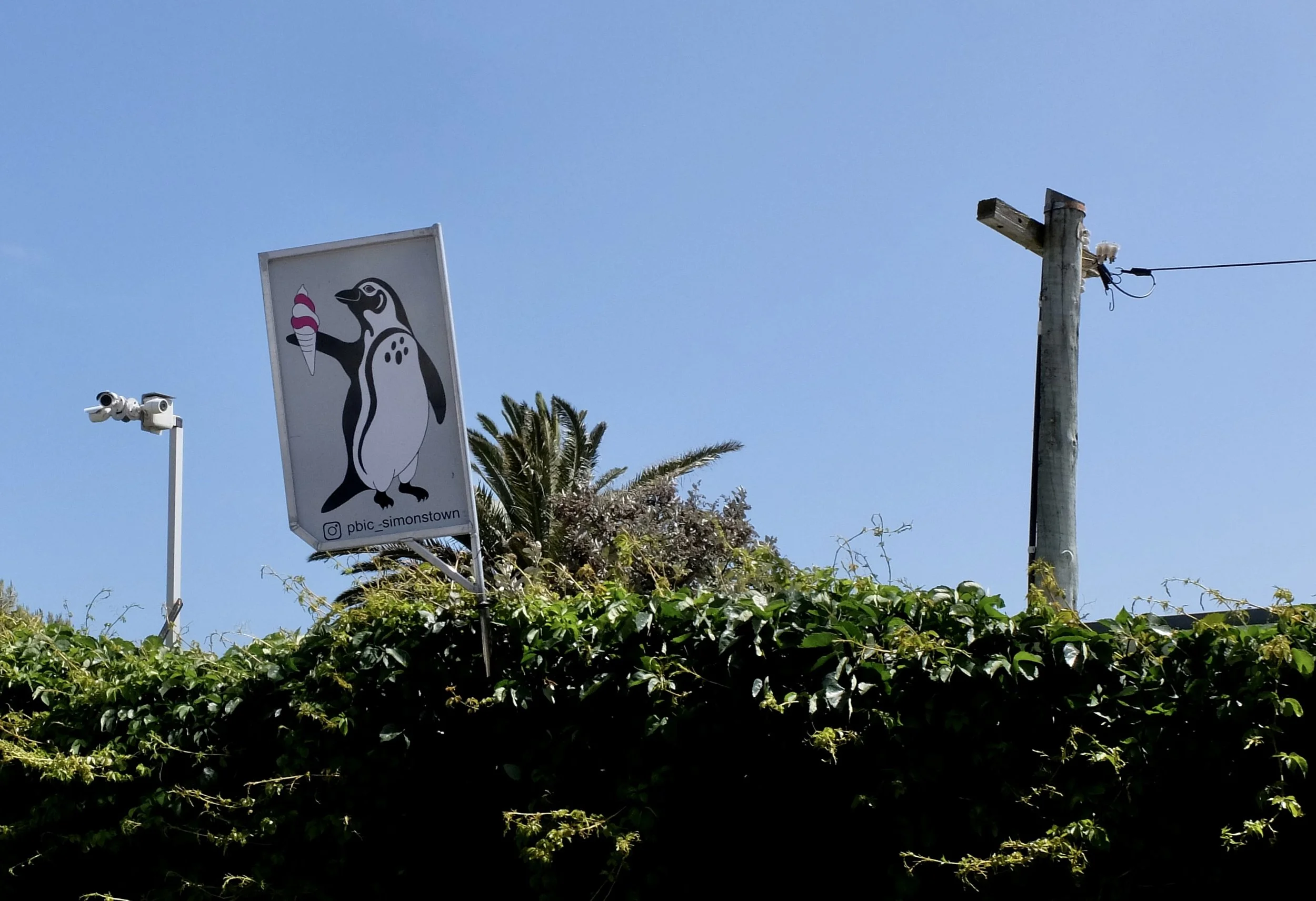  Simonstown, South Africa. 