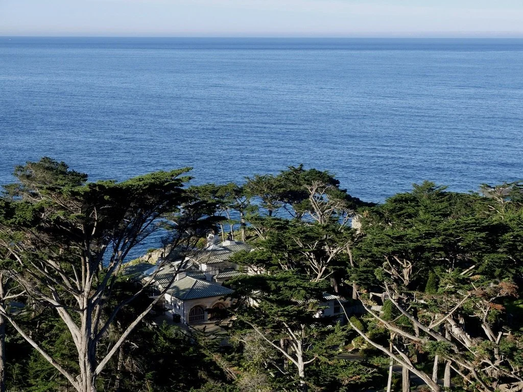  From our balcony at the Tickle Pink Inn, Carmel Highlands, CA overlooking the Pt. Lobos State Marine Reserve. 