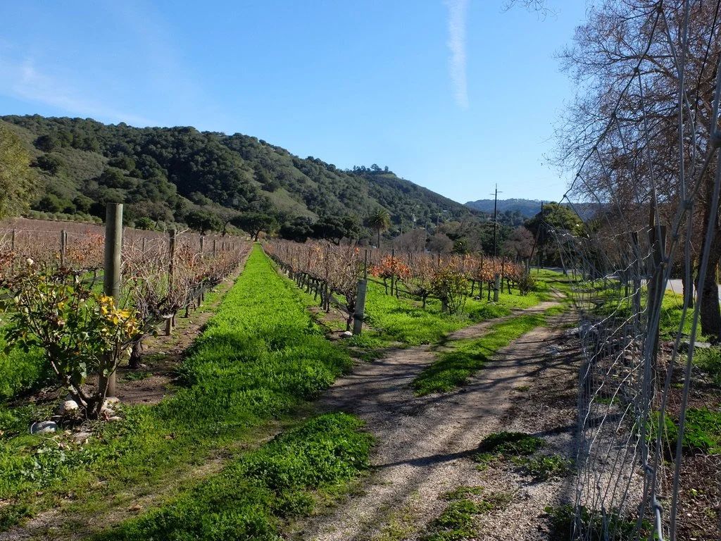  Carmel Valley Rd, Carmel Valley, CA. 