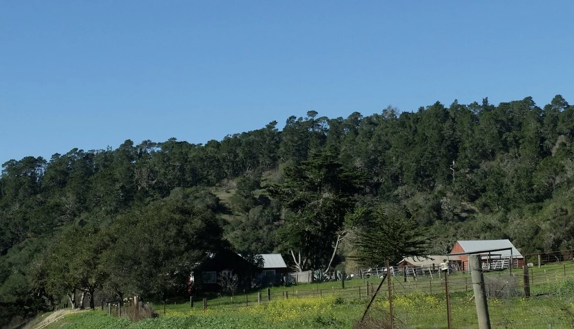  Carmel Valley Rd, Carmel Valley, CA. 