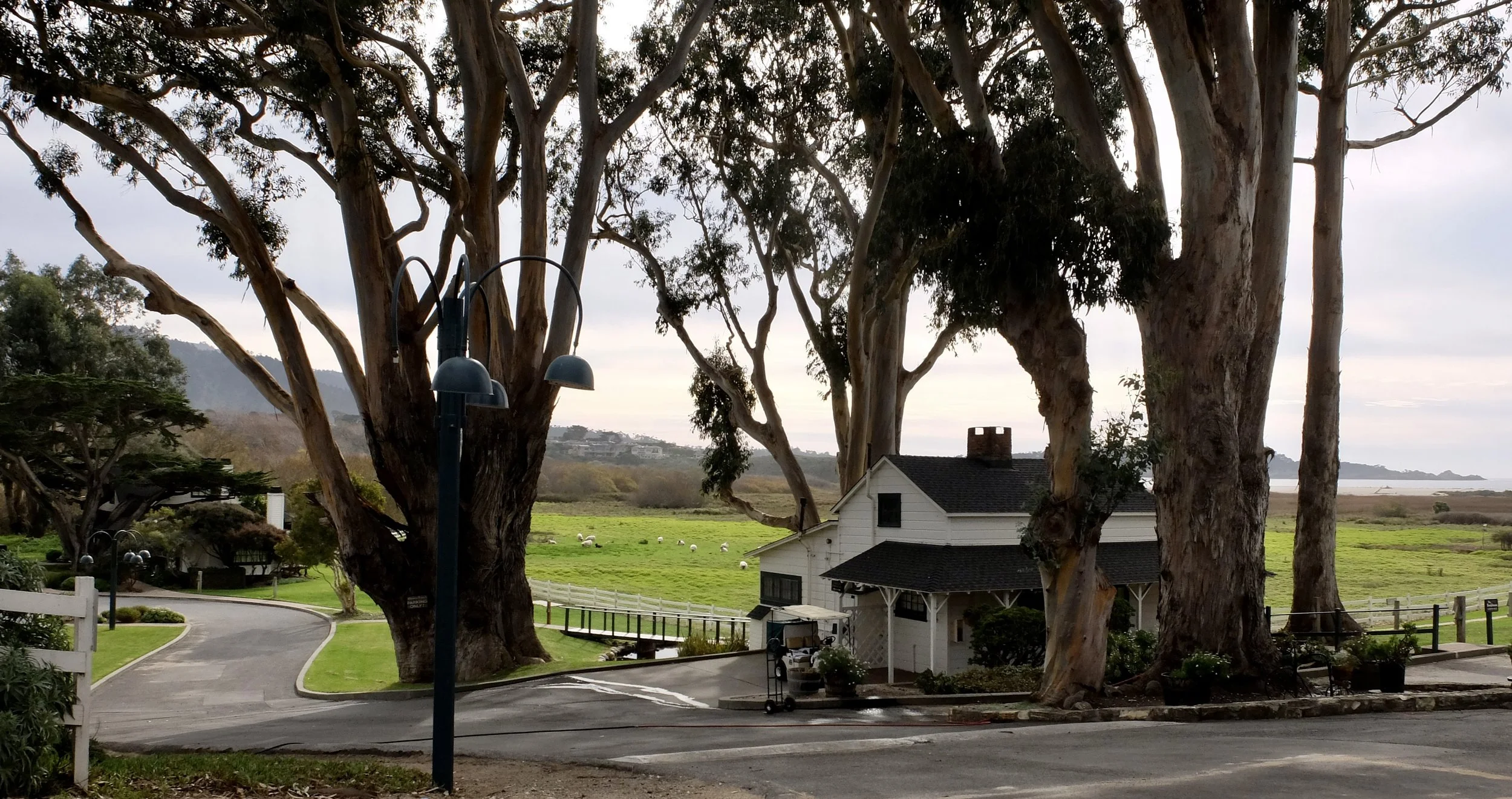  Clint Eastwood's Mission Ranch. On our next visit we’ll have a meal here. 