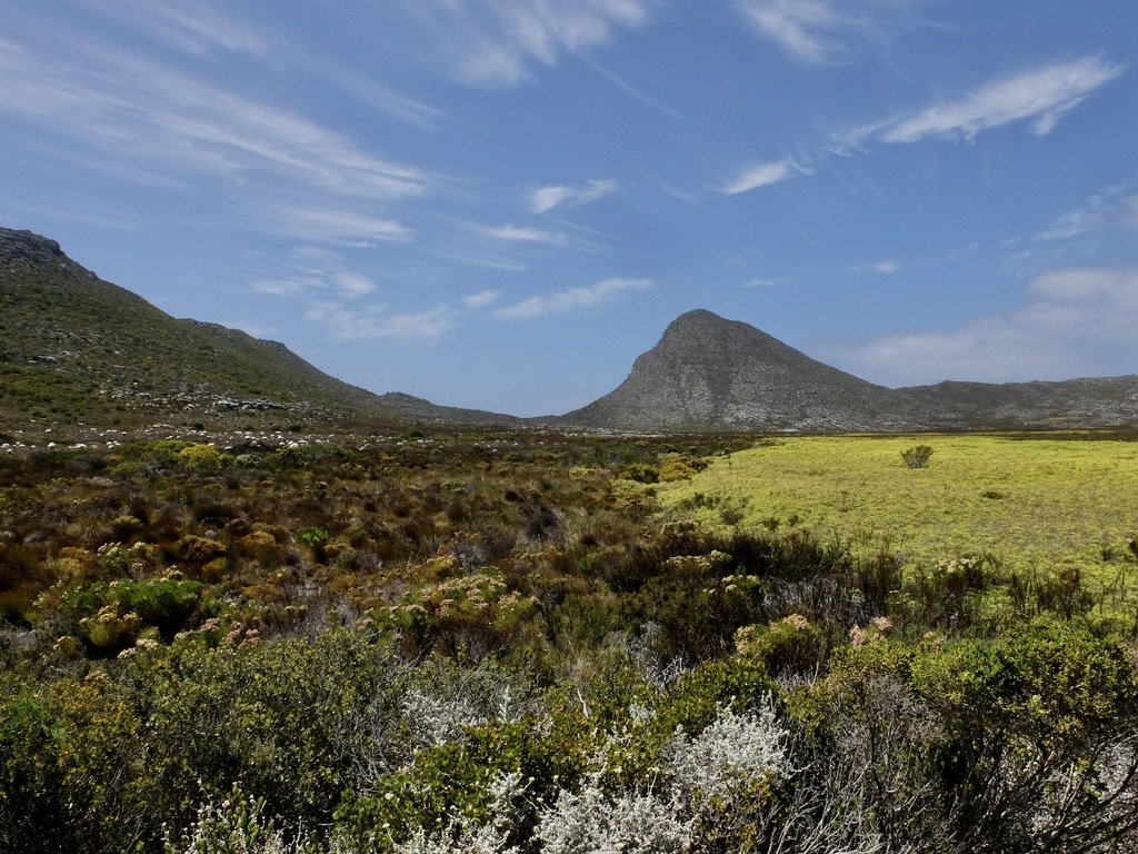  At this plain, Howie stopped &amp; we got out &amp; walked around.  It was not difficult for me. Howie sure knew the flora &amp; fauna. 
