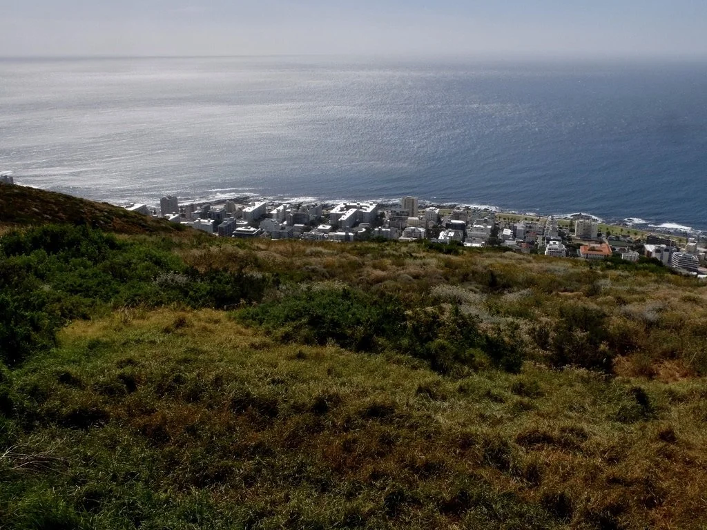  Seen from atop Signal Hill, Sea Point neighborhood of Cape Town. 