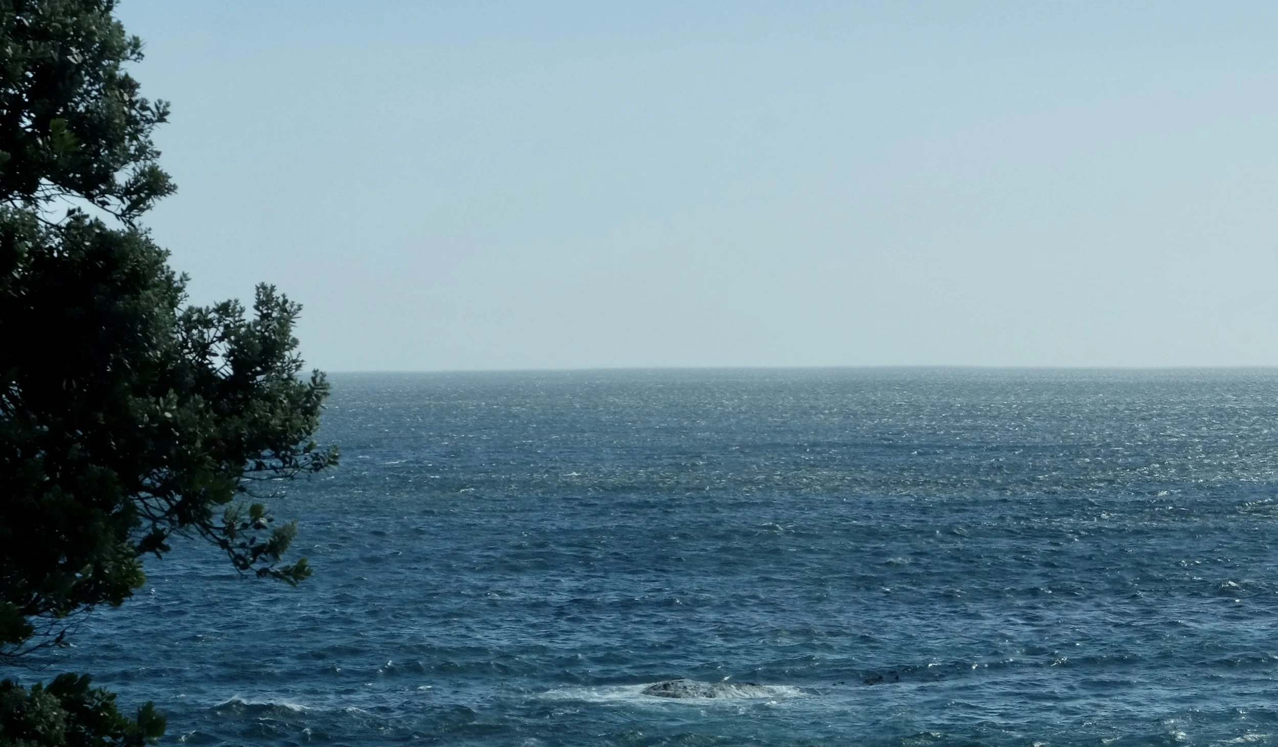  Even though it was terribly windy here the Atlantic Ocean almost looked calm with no white caps. 