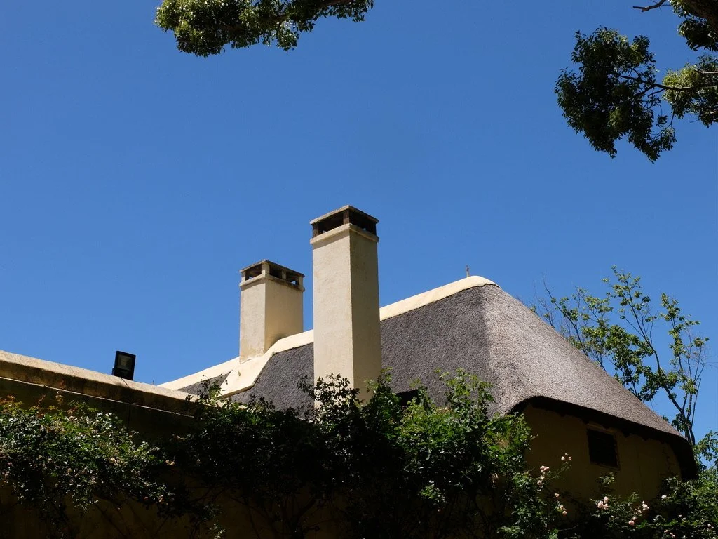  Pictured above are branches of “Camphor laurels  (   Cinnamomum camphora   )  planted by Willem van der Stel in about 1705 which have been declared a protected  provincial heritage site .”  Vergelegen Estate. 