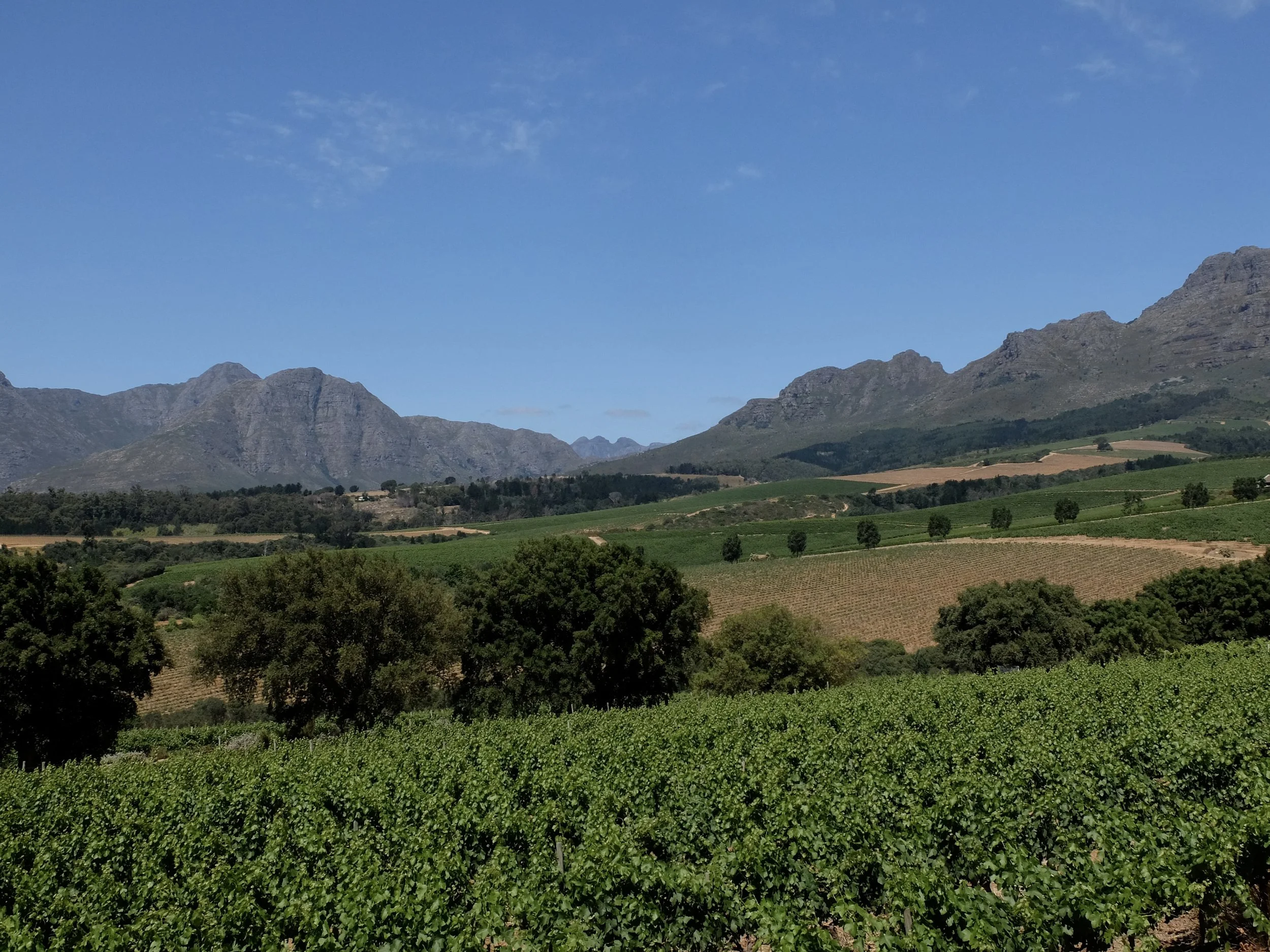  Founded in 1998, Guardian Peak Winery &amp; Grill… 