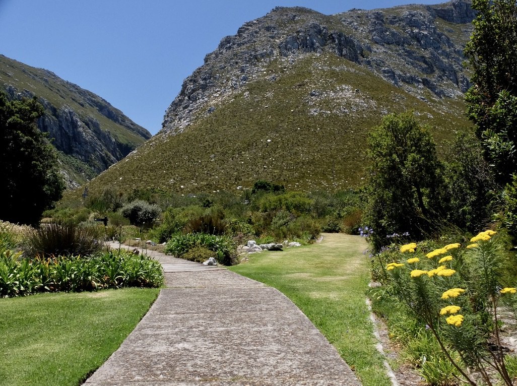  Howie got a workout pushing me around Harold Porter National Botanical Garden “…situated in the centre of the coastal fynbos where the flora is at its richest.” 