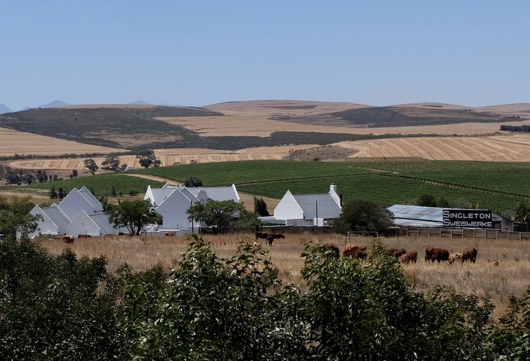   Singleton’s Sweiswerke  “…is a metal-working and welding company i n” Botriver    