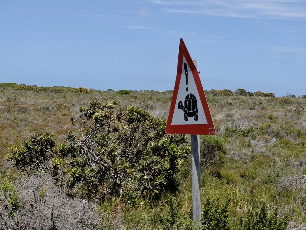  This sign photo was taken near the Cape of Good Hope.  It was not until the last day in Africa &amp; at the Babylonstoren Farm Hotel that we met a tortoise.  