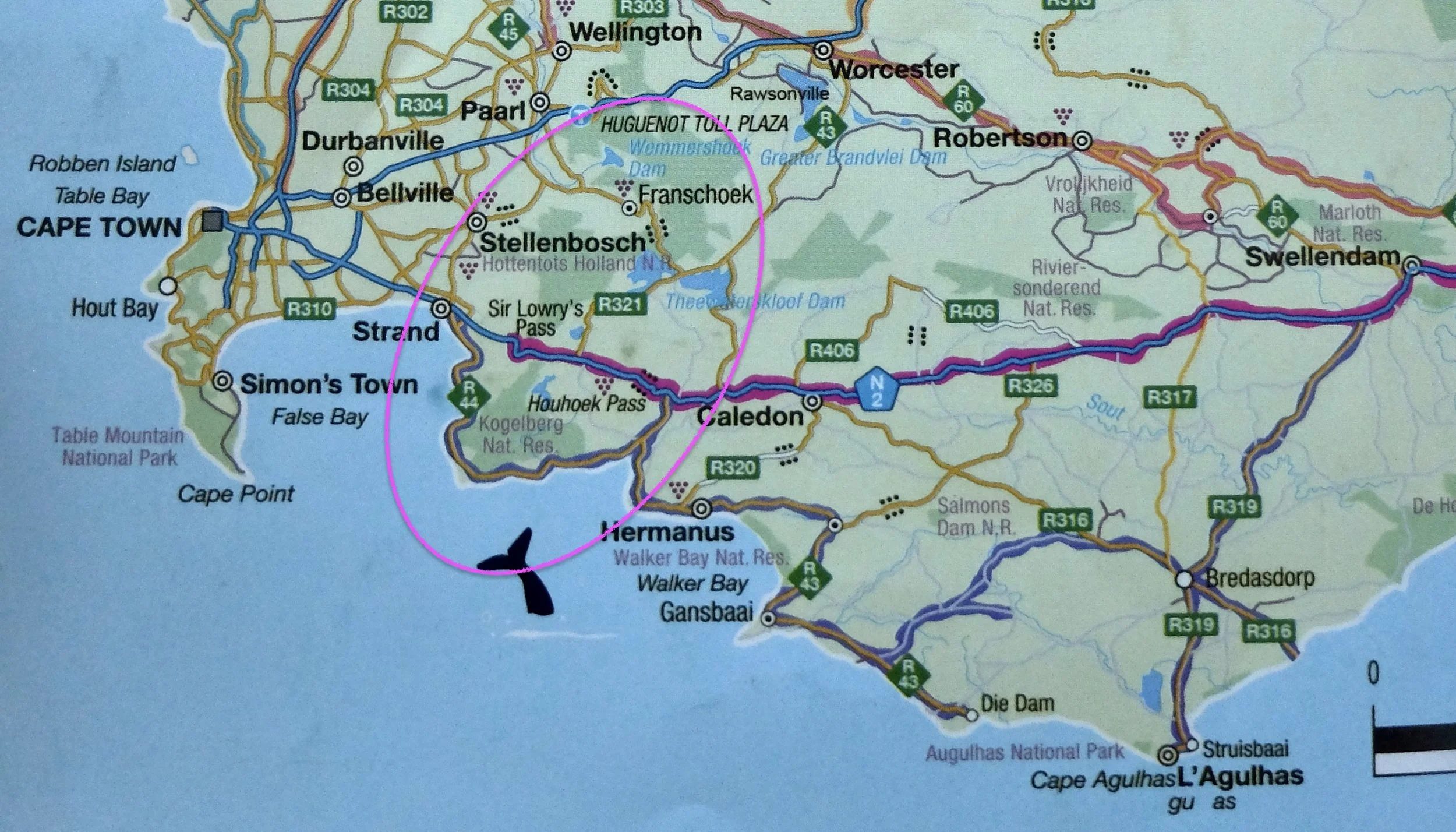  Howie suggested that we forget Hermanus, cute as it might be &amp; return inland on the R44.    We had no idea of the landscapes we would drive through on the return to Franschoek. 