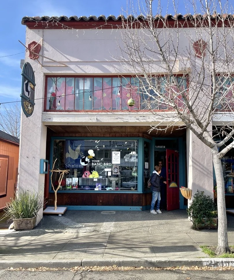  YOUR BASIC BIRD on College Ave, Berkeley, CA. 