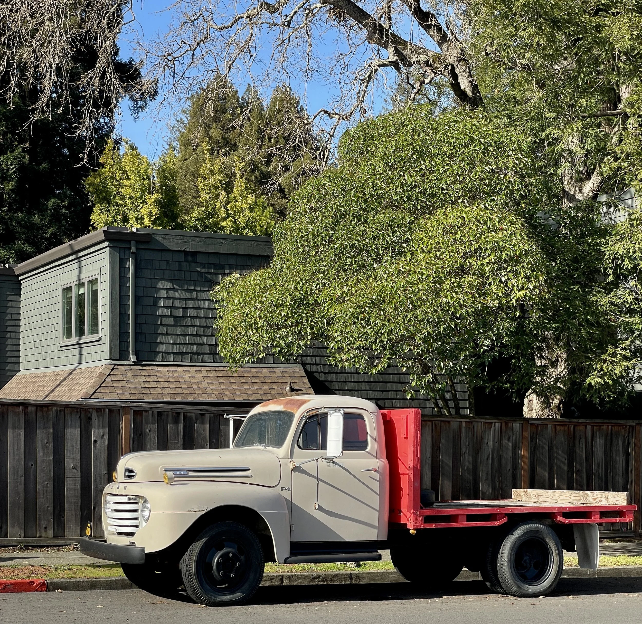  Walking around Larkspur, CA. 