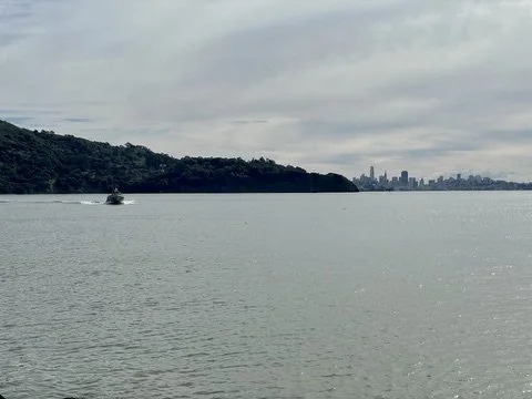  I stayed around to walk on the Shoreline Park path &amp;…  