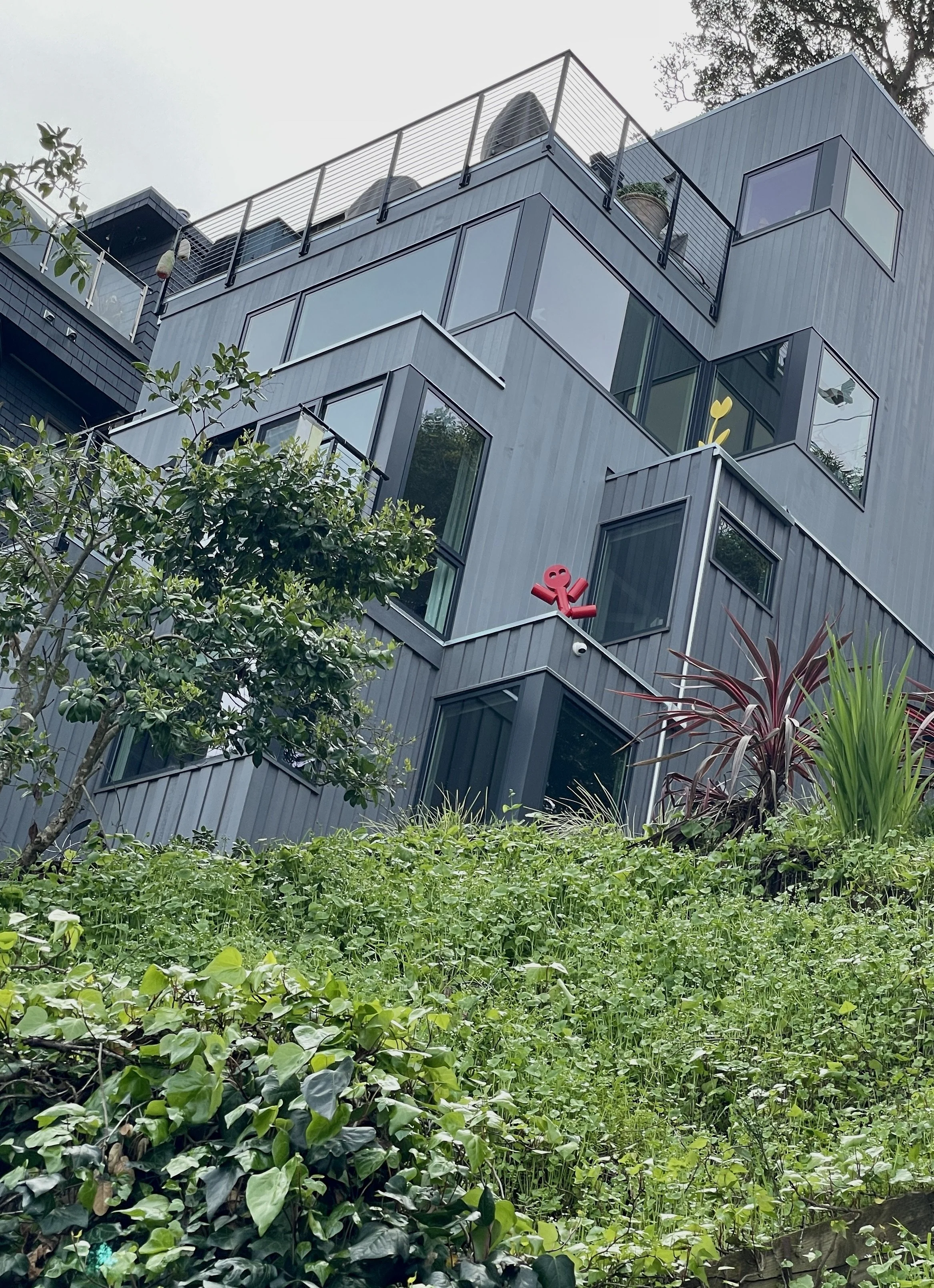  Belvedere from Ark Row. 