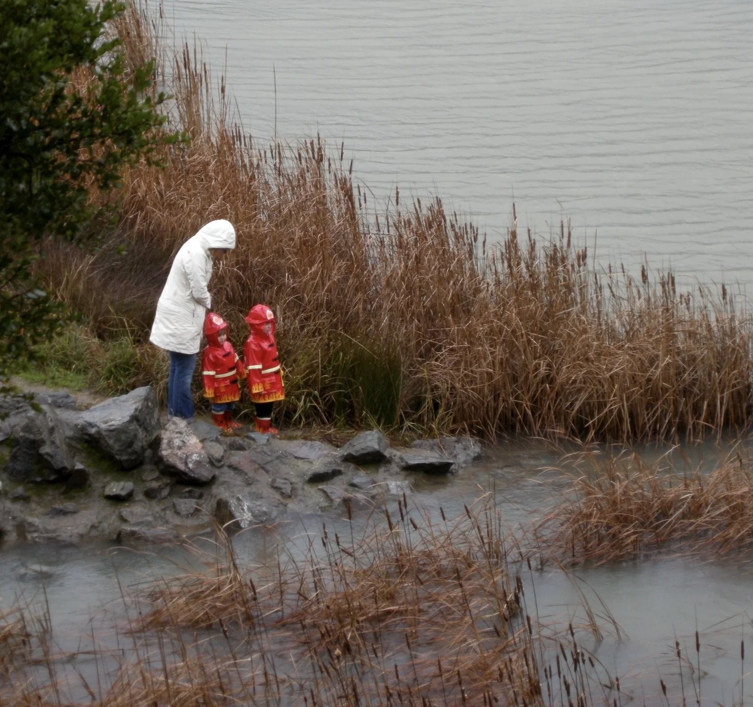  When atop the Phoenix Dam overlook for a the start of a mountain bike ride on Mt. Tamalpais, I looked down  &amp; saw this.  Yes, I’d often ride the dirt trails of Mr. Tam in the rain.  