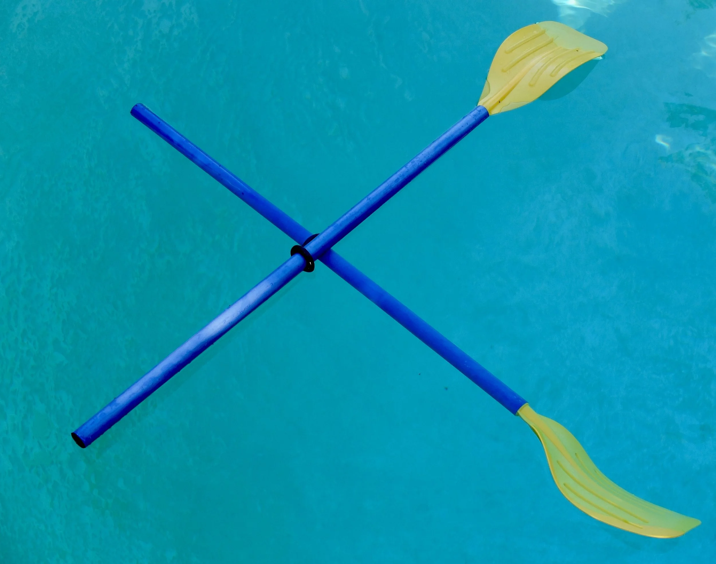  Two if my favorite colors. The paddles were floating in the pool &amp; I set this one up. FujiFilm X 30. 