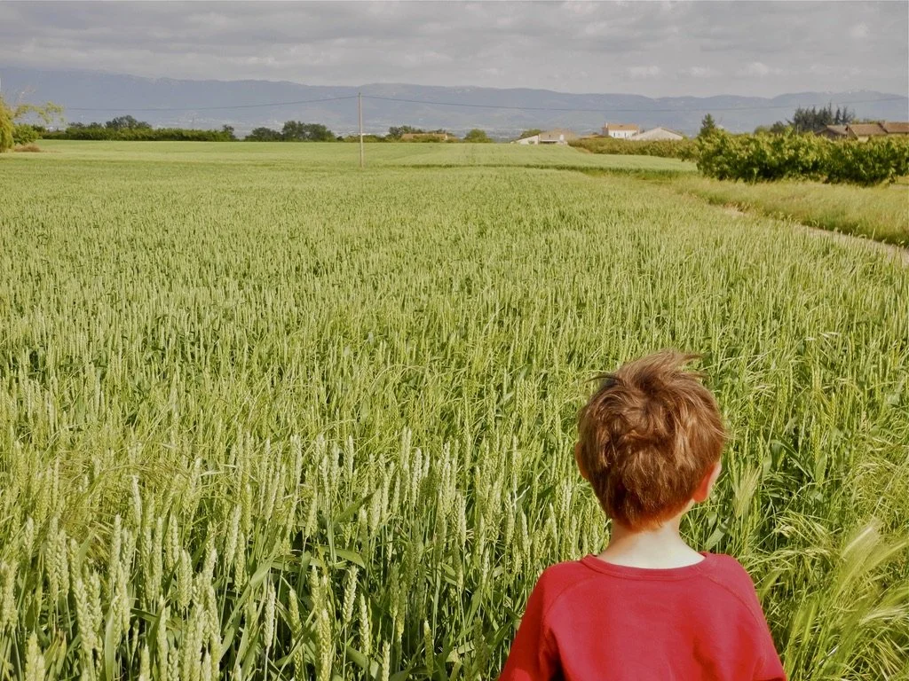  San Marcel Les Velance, France.    Nikon CoolPix P7100. 