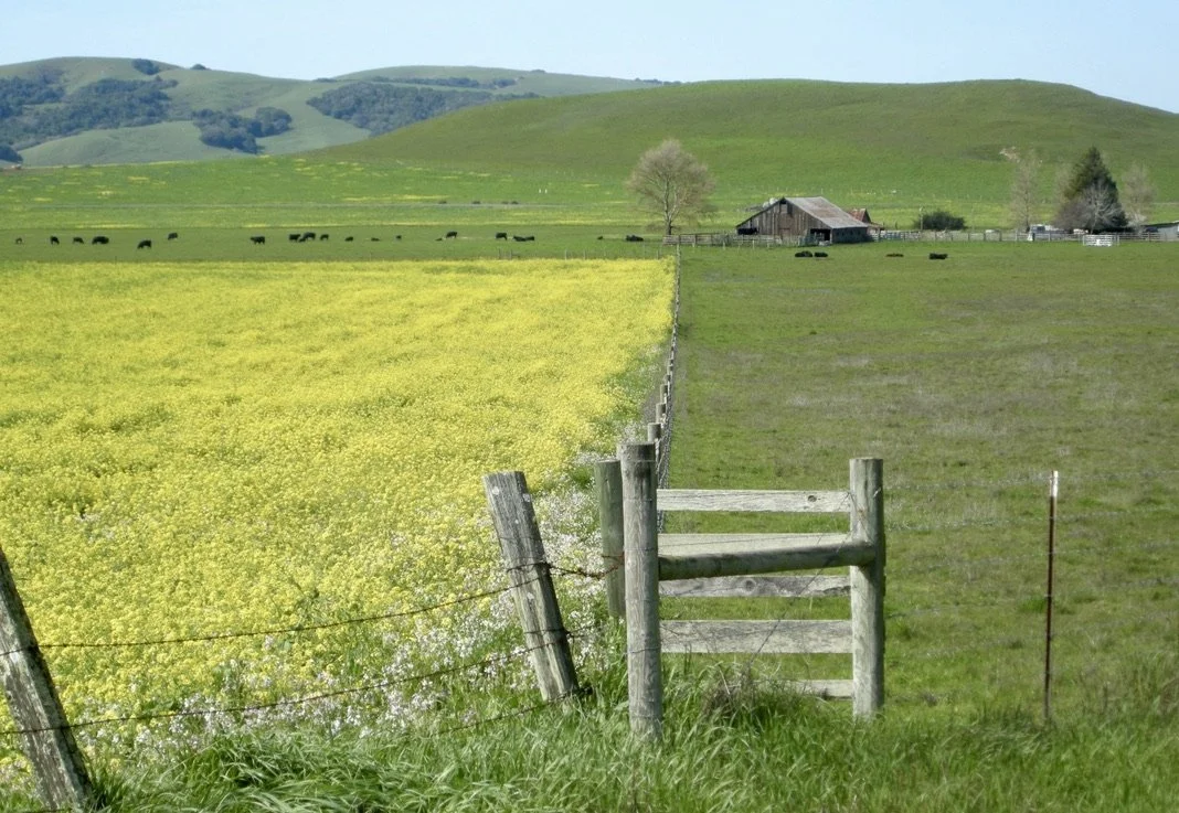  Chileno Valley Road, Marin, CA.  