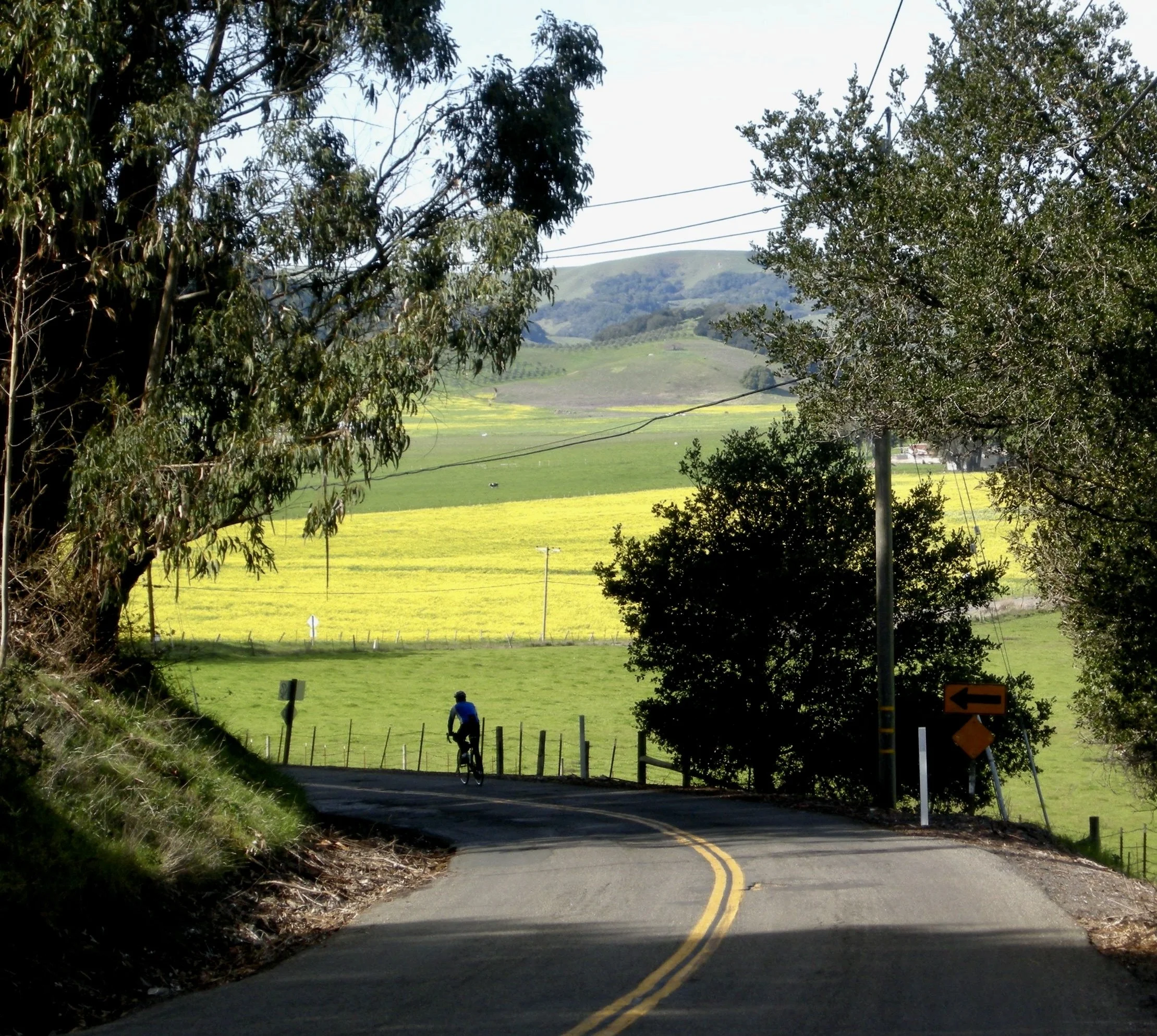  Descent down Bordessa Road into Chileno Valley, Marin, CA. 