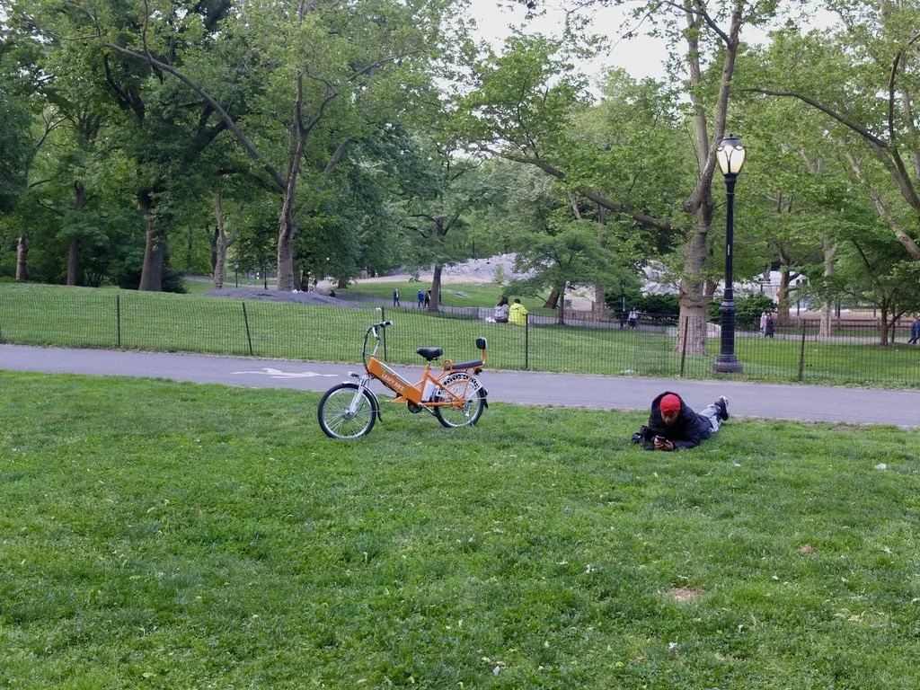  Central Park, NY, NY. 