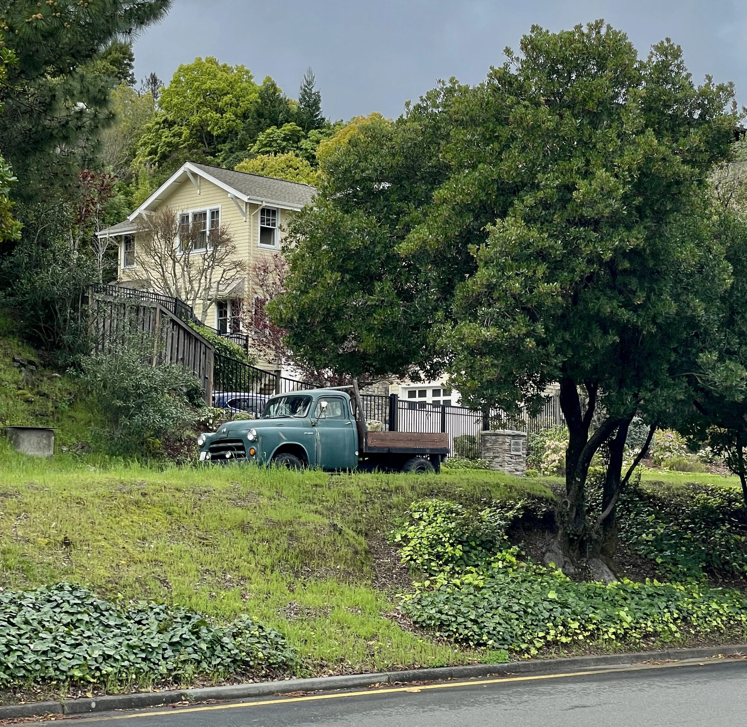  Magnolia Ave. between Larkspur &amp; Kentfield. 