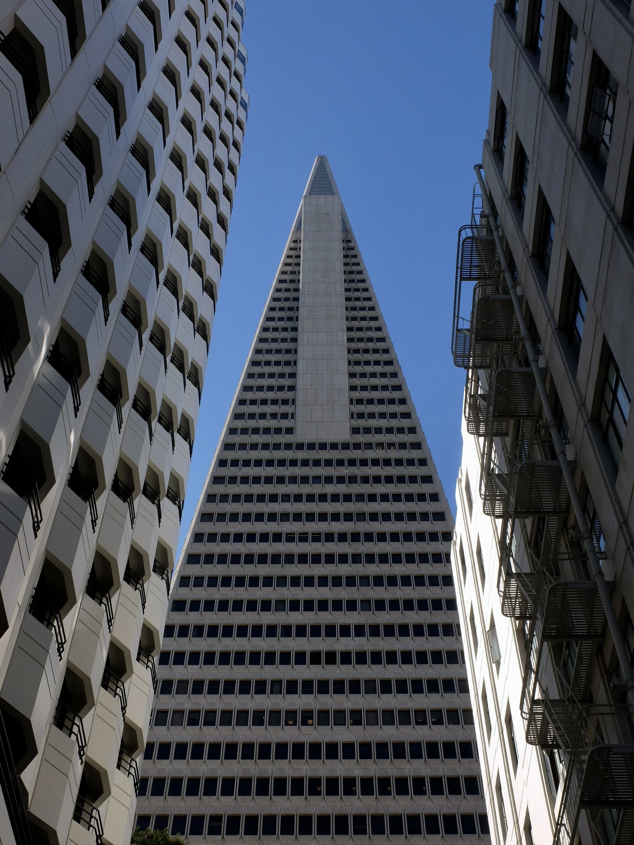  Transamerica Pyramid, Jackson Sq. San Francisco. 