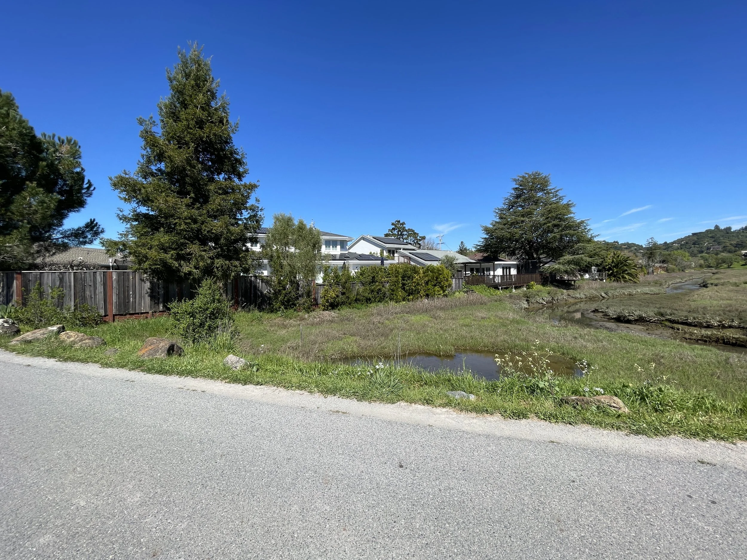  Some houses back-up on the marsh. 