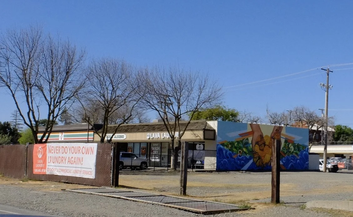  Davis or Tracy, California.  March 2020. 