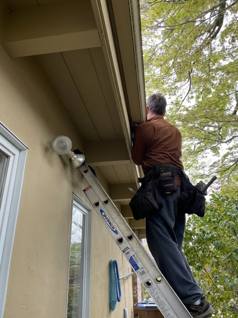  Sometimes a doctor is required like Dave's Rain &amp; Gutter Service,  Kentfield, CA. 