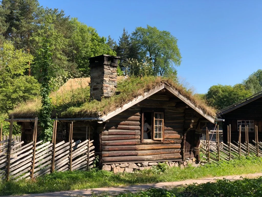  I guess the living roof absorbs water, to a point.  The gutters look like they were installed in a later era.  Oslo, Norway. 