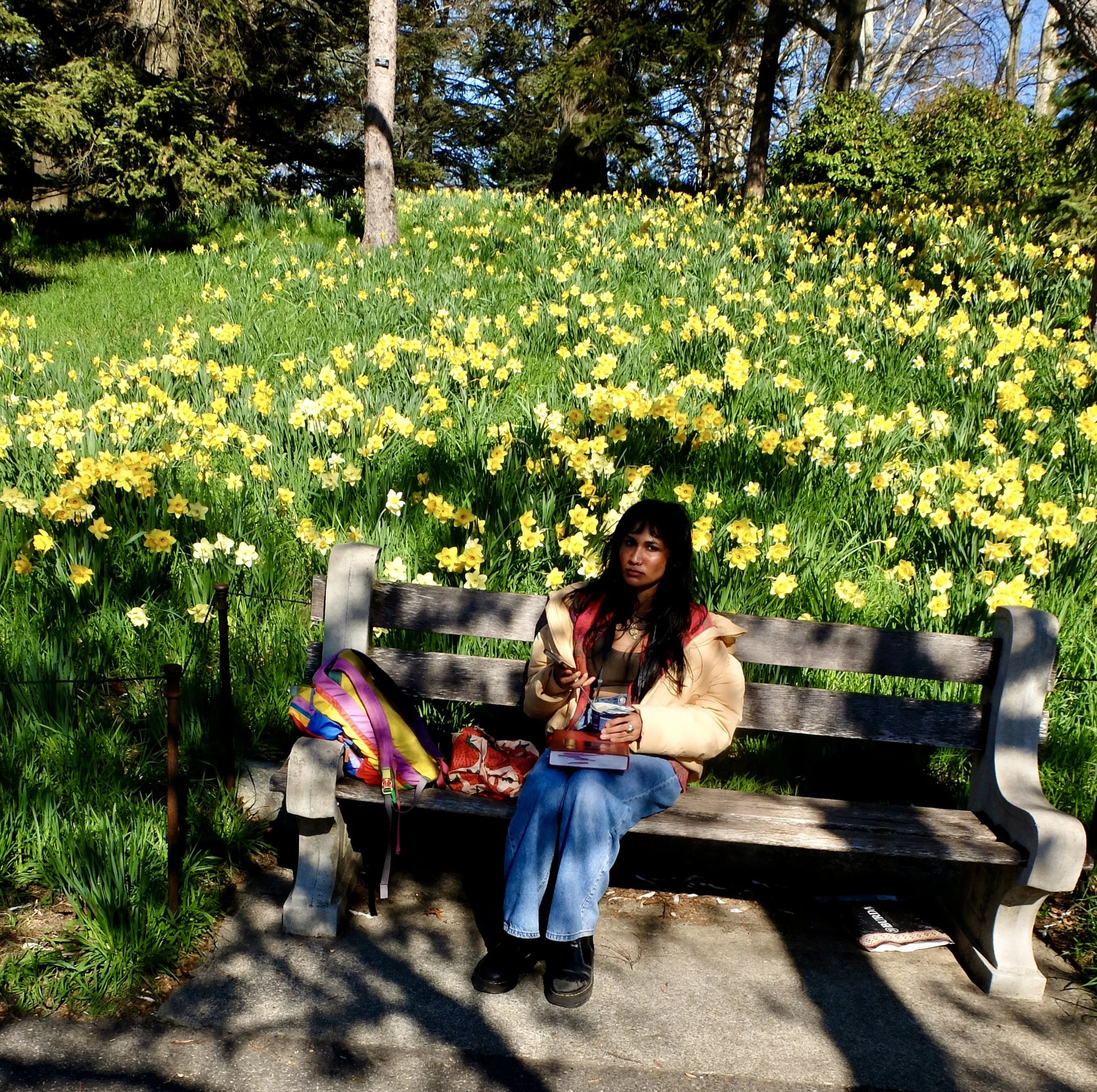  Daffodil Hill, B'klyn Botanic Garden. 