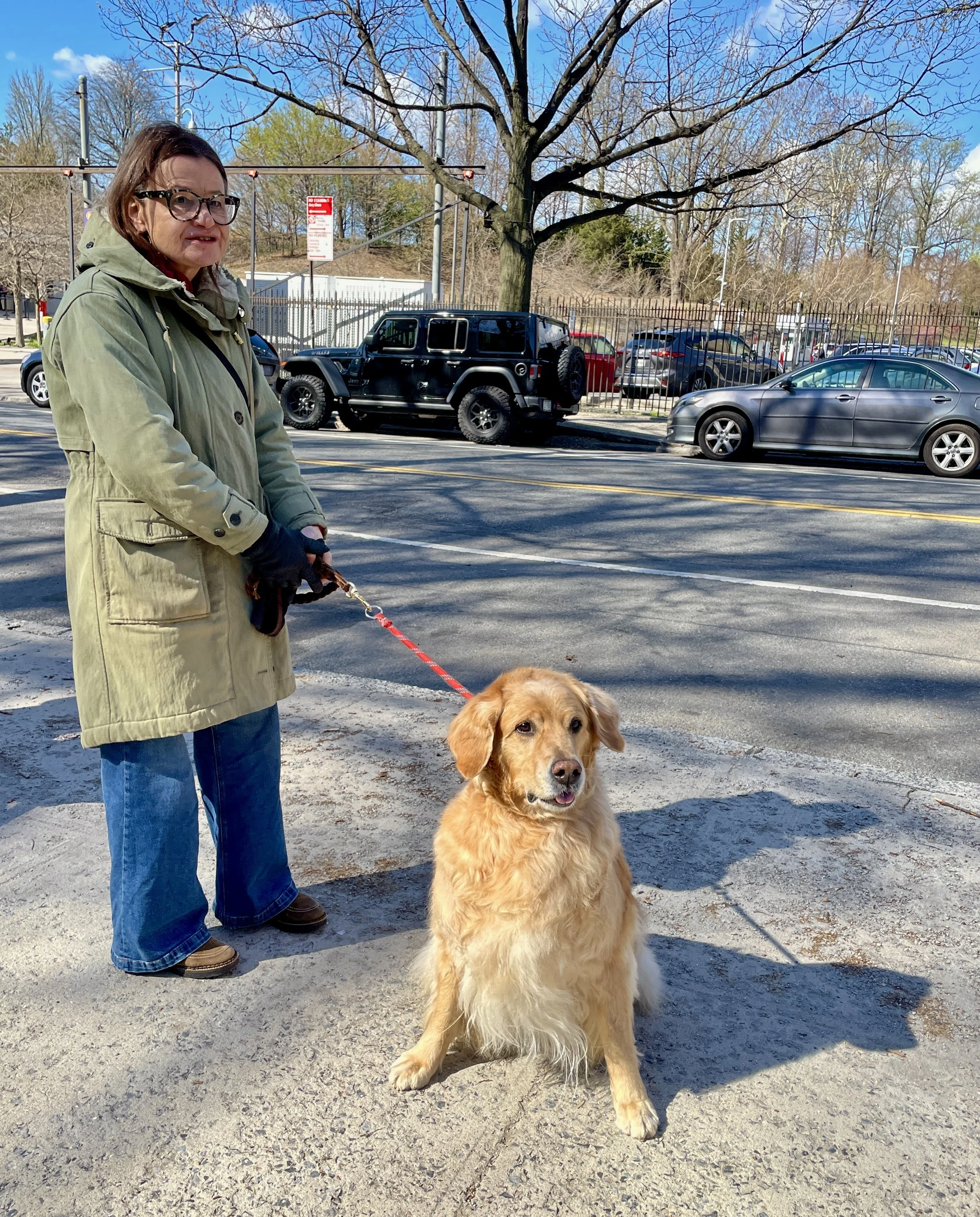  We think this was the first golden retriever we'd seen in Brooklyn.  The predominant breed there is the pit bull. 