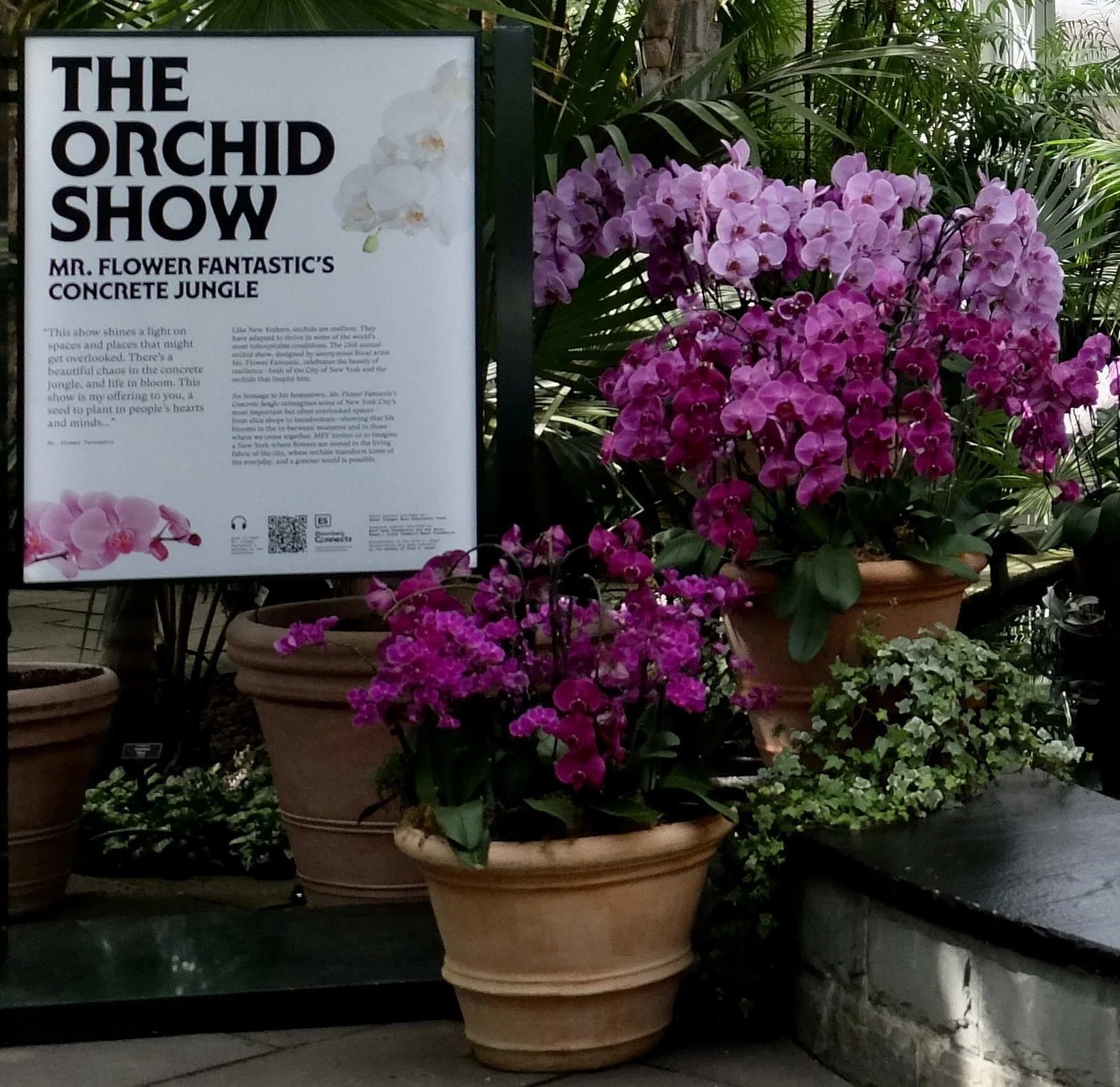  The New York Botanical Garden - The Orchid Show. 