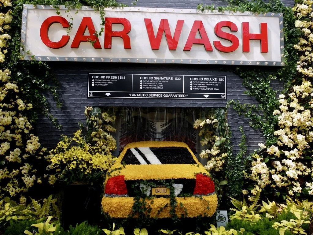  The New York Botanical Garden -   The Orchid Show.   Mr. Flower Fantastic's  CAR WASH.  