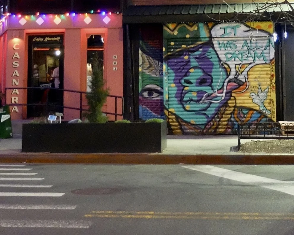  Walking along Fulton Street to OTWAY in Clinton HIll Brooklyn for dinner. 