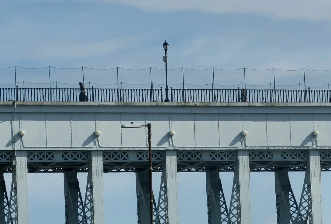  "The High Bridge, NYC’s oldest standing bridge (1848)...is open to pedestrians and cyclists only."   Harlem River Drive. 