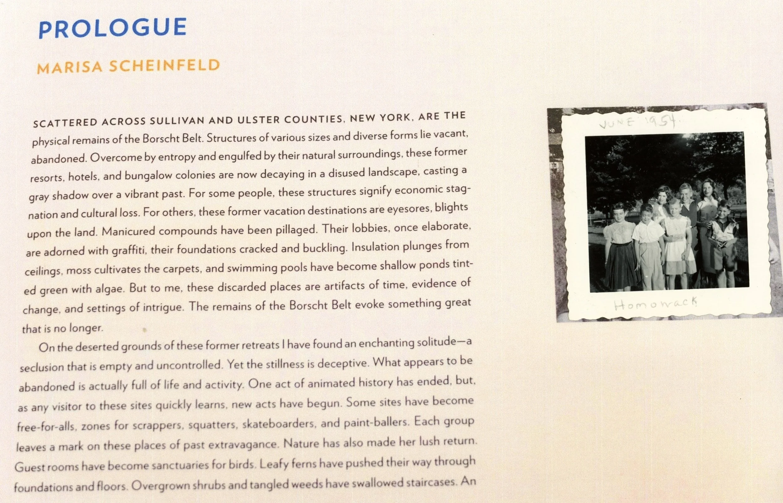  I inserted a 1954 photo of me &amp; all my mom’s side cousins at Homowack Lodge, Spring Glen, NY.  We spent many holidays here.  “The Borscht Belt” Revisiting the Remains of America’s Jewish Vacationland” by Marisa Scheinfeld. 