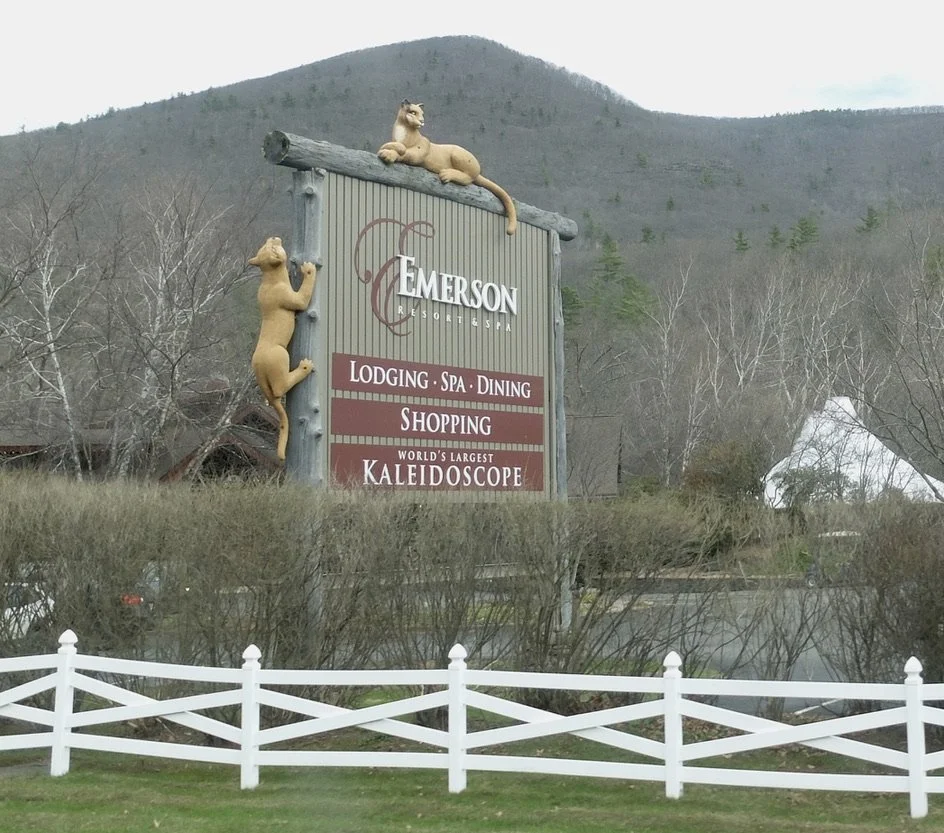  “The catamount — also known as the eastern cougar …The animal once roamed across the eastern U.S. and Canada.”  Rte. 28, Mt. Tremper, NY. 