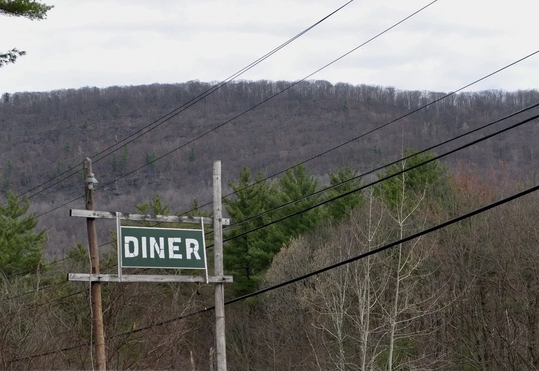  As we learned during our Noble Sign Company tour, wood signs rot.  Phoenicia Diner, Phoenicia, NY.  