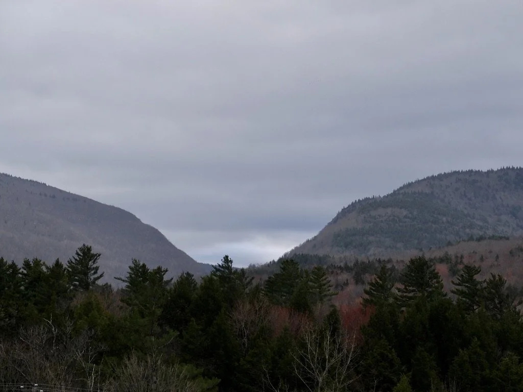  Early morning view from Scribner's Catskill Lodge. 