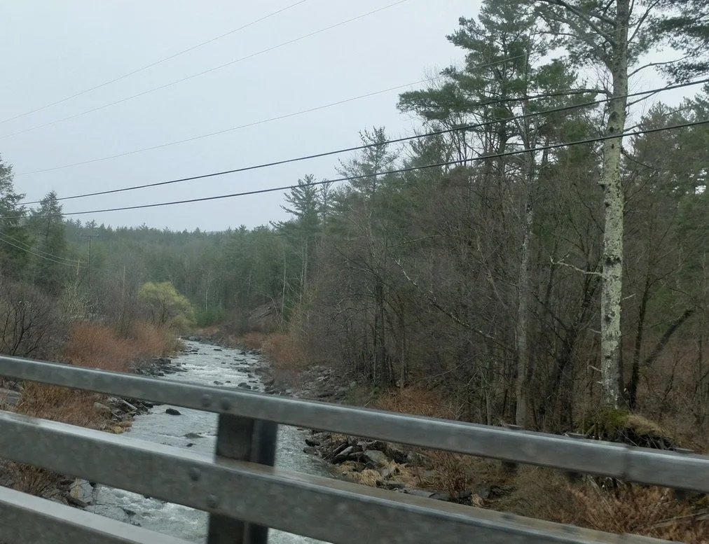  "The West Kill, an 11-mile-long tributary of Schoharie Creek, flows through the town of Lexington...from its source on Hunter Mountain, the second-highest peak of the Catskill Mountains....it is part of the New York City water supply system." 